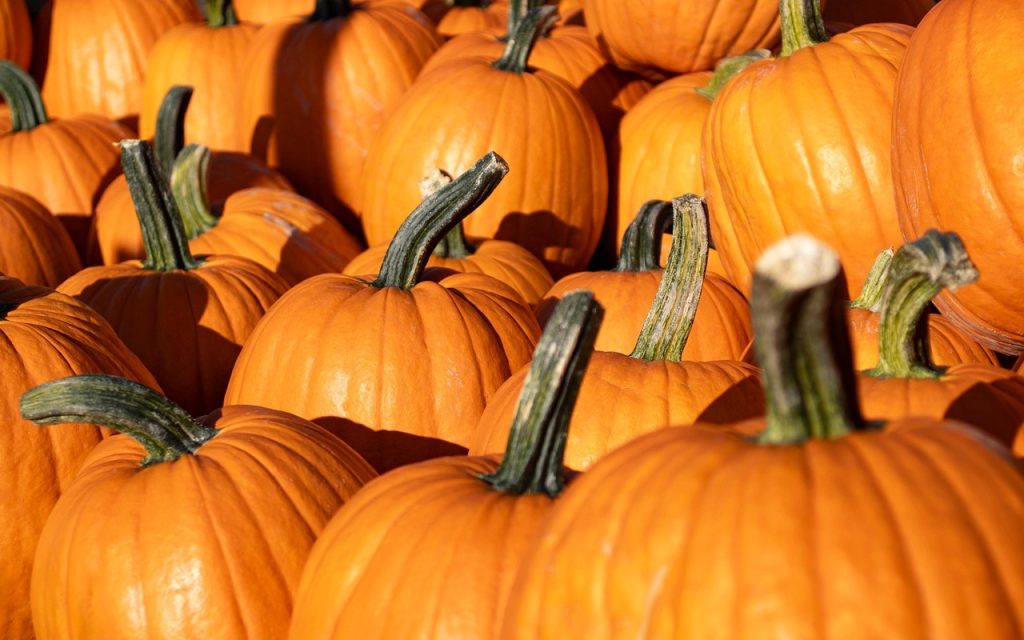 More Than 5,000 Pumpkins Will Light the Trail