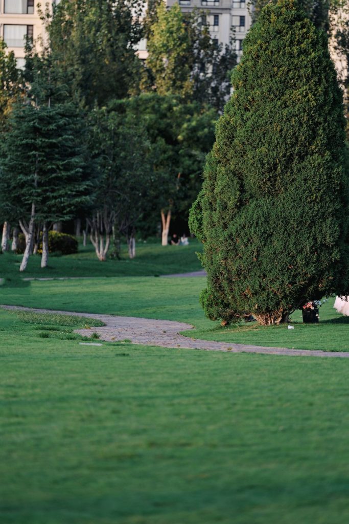 The Park’s Name Came From Community Feedback