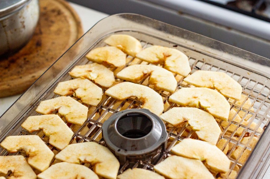 Food Dehydrators for Preserving Seasonal Produce