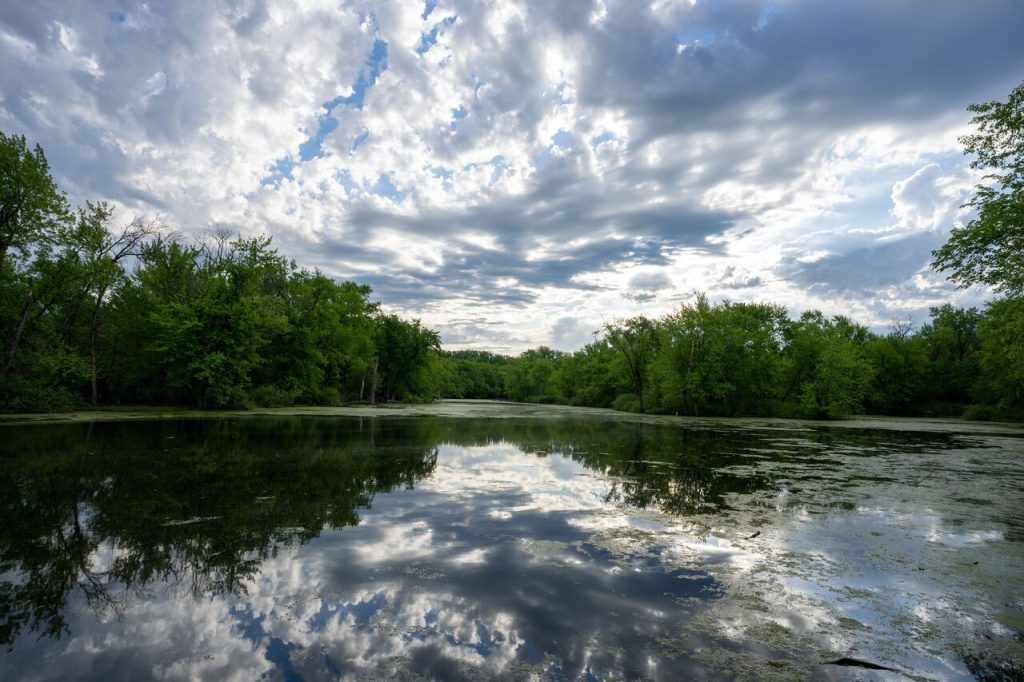 Mower, Olmsted, Pipestone, and Rock Counties Have No Natural Lakes