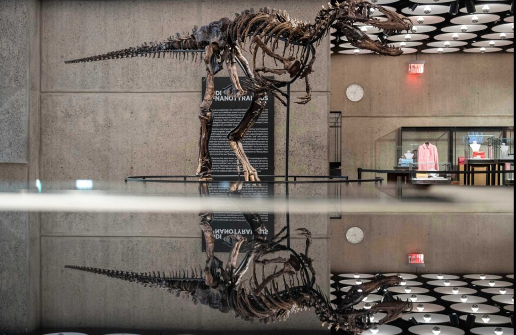 A Montana Rancher Discovered the Fossil on Family Land in 2019