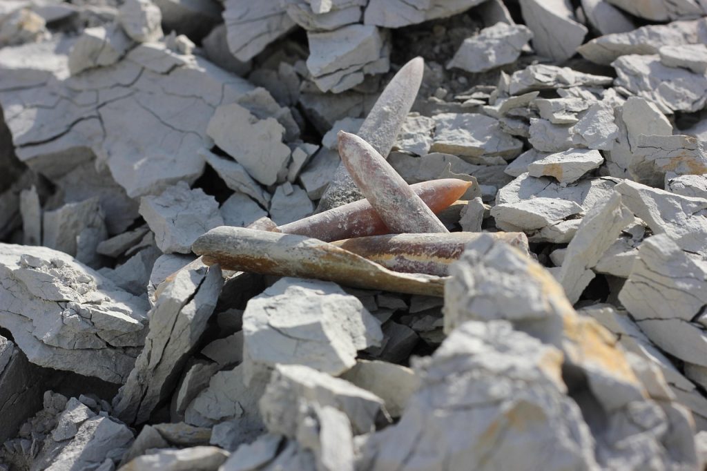 Mazon Creek Preserved
