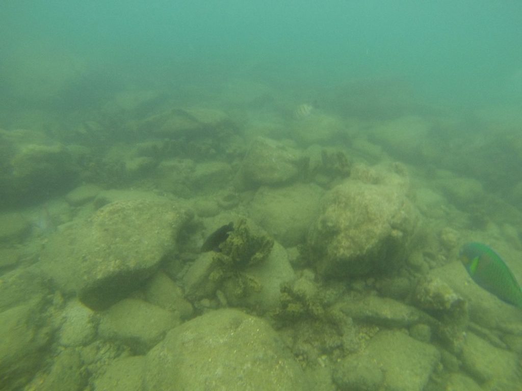 The Discovery Could Reveal How Stone Age People Transported Heavy Greenstone