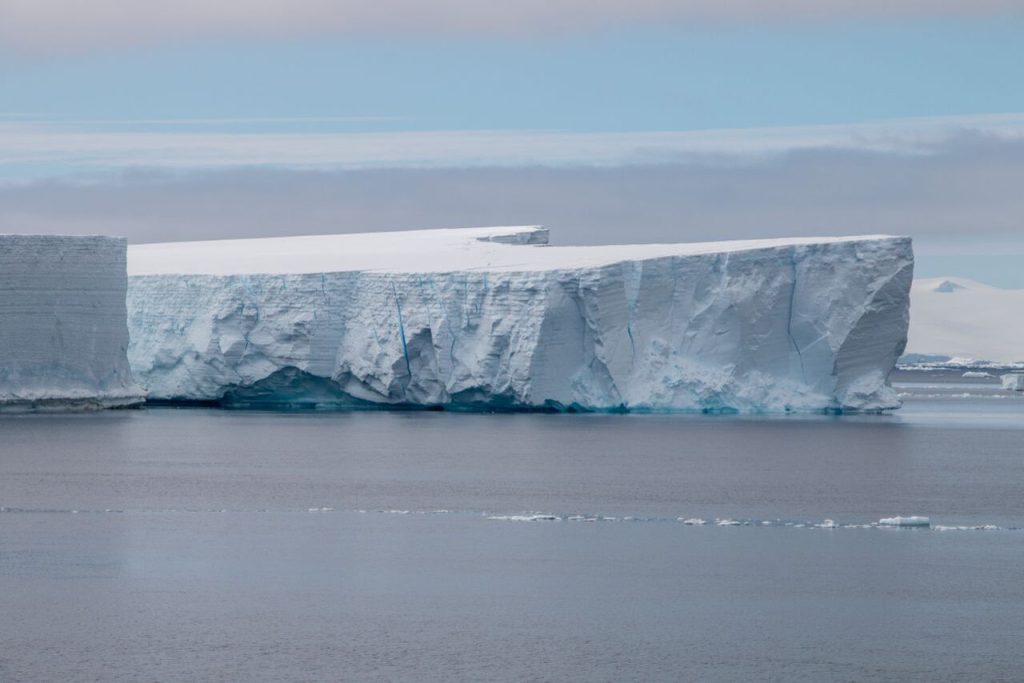 Iceberg A-81 Has Traveled 1,400 Miles From Antarctica