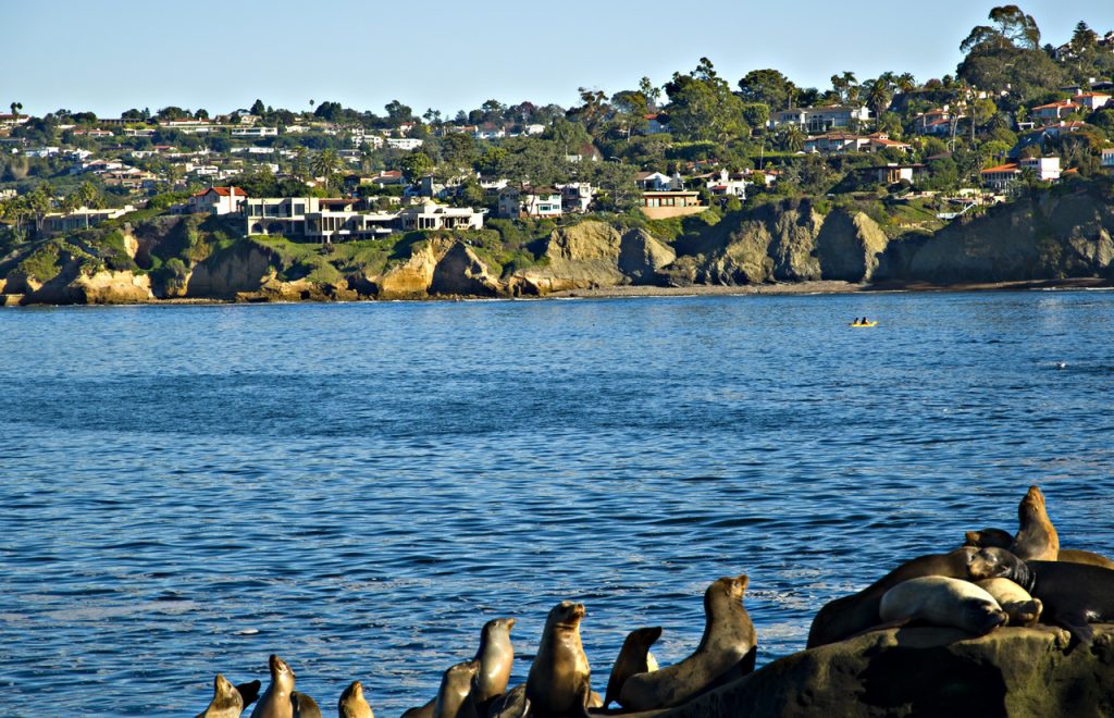 San Diego, California, Impresses With Beaches and a Growing Food Scene
