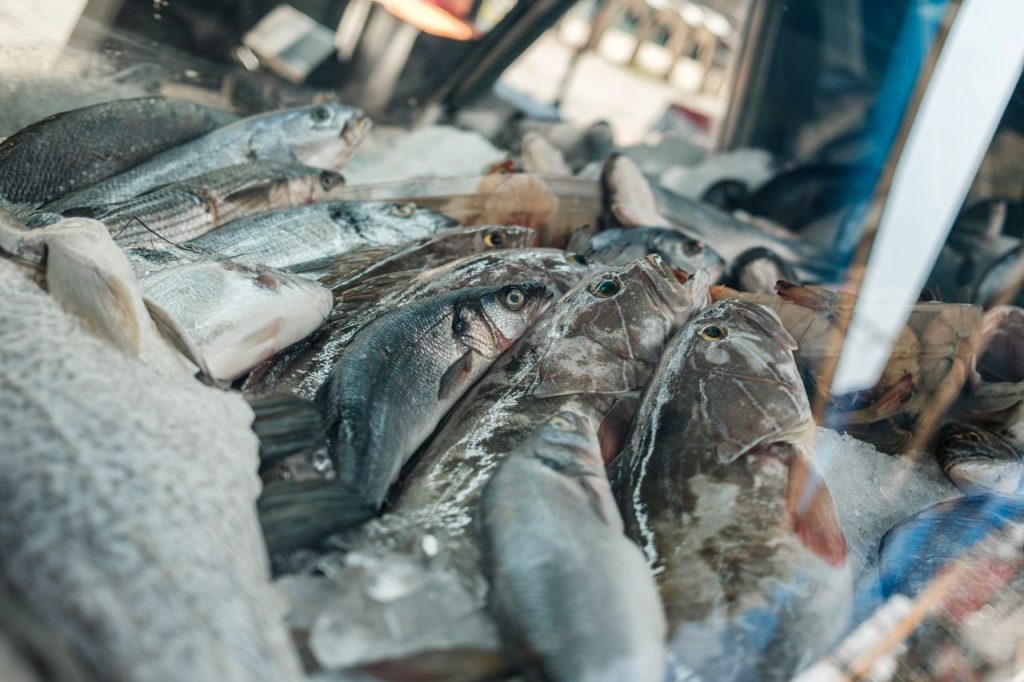 The Administration Is Making $5 Billion in Loans Available to the Fishing Industry