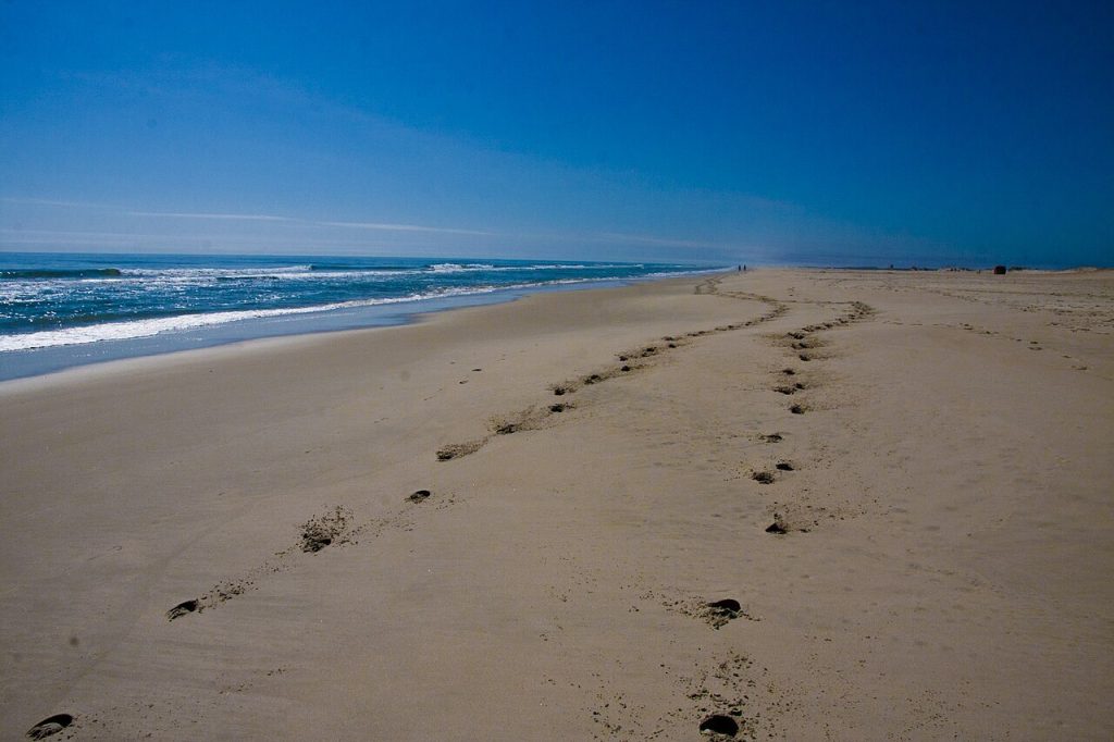 Assateague Island National Seashore, Maryland and Virginia