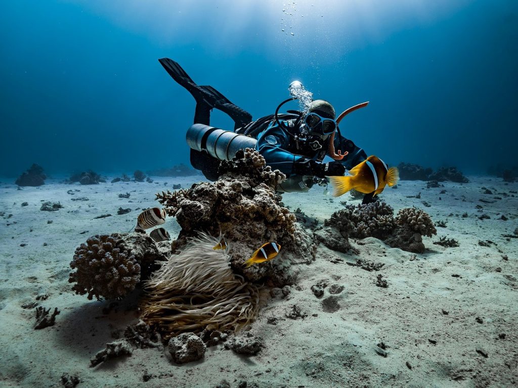 A Volunteer Trash-Cleanup Dive Led to an Unexpected Archaeological Discovery