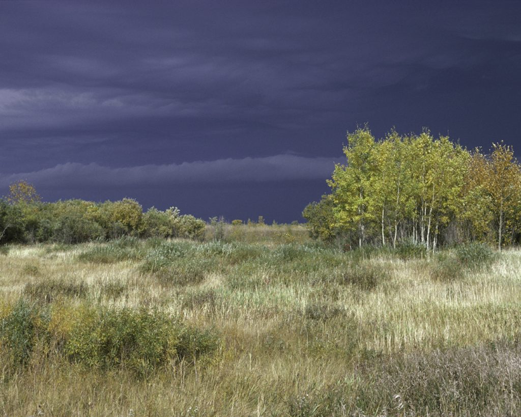 Agassiz National Wildlife Refuge, Northwestern Minnesota