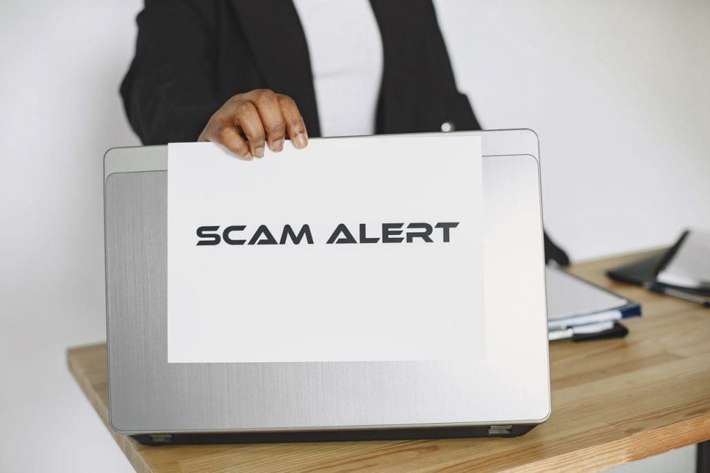 Minnesota’s Public Program Fraud Scandal and Government Accountability