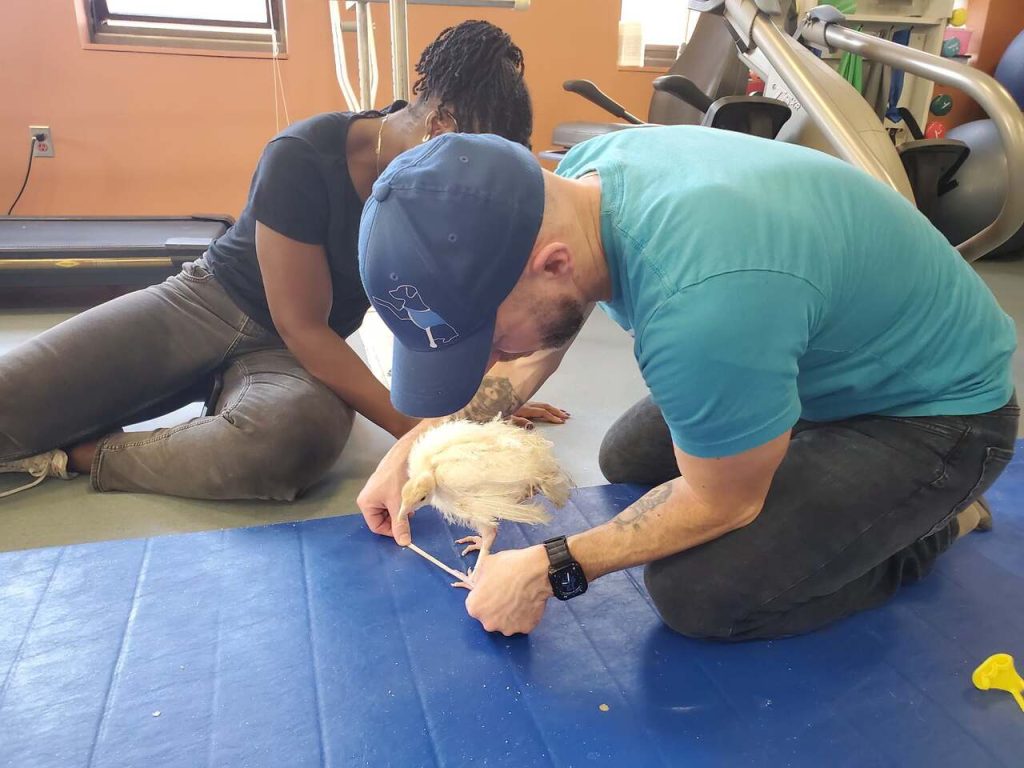 Custom Prosthetic Feet Were Made by Infinitely Able Pets