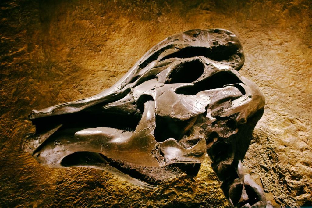 The Ostrich-Like Dinosaur Was a Fast Runner With a Toothless Beak