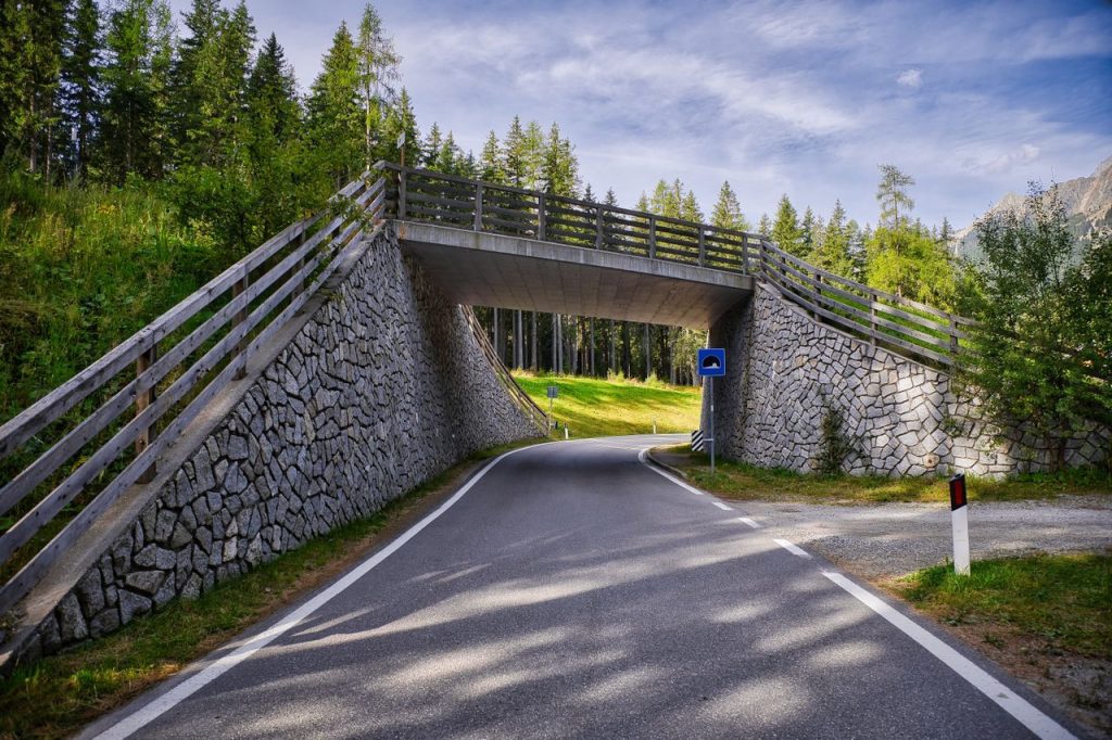Colorado Is Developing Six More Wildlife Crossing Systems