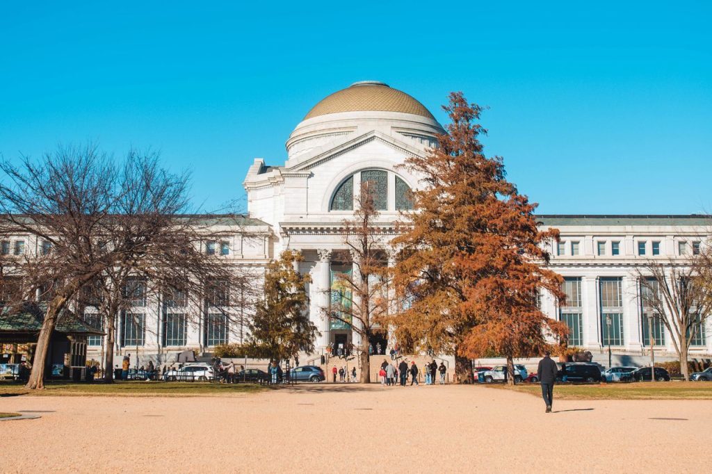 The Smithsonian Is Recognizing YouTube Entertainment as Part of American History