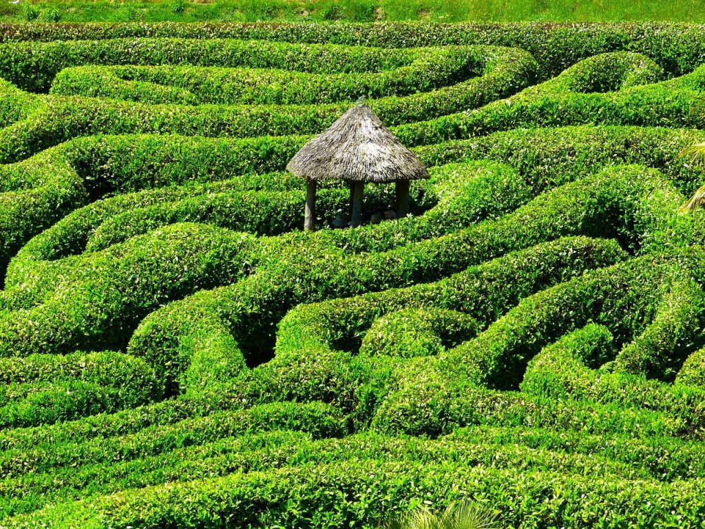 Indoor Maze