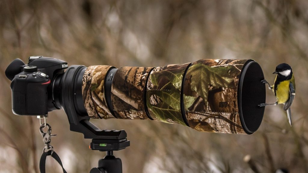 Wildlife Cameras