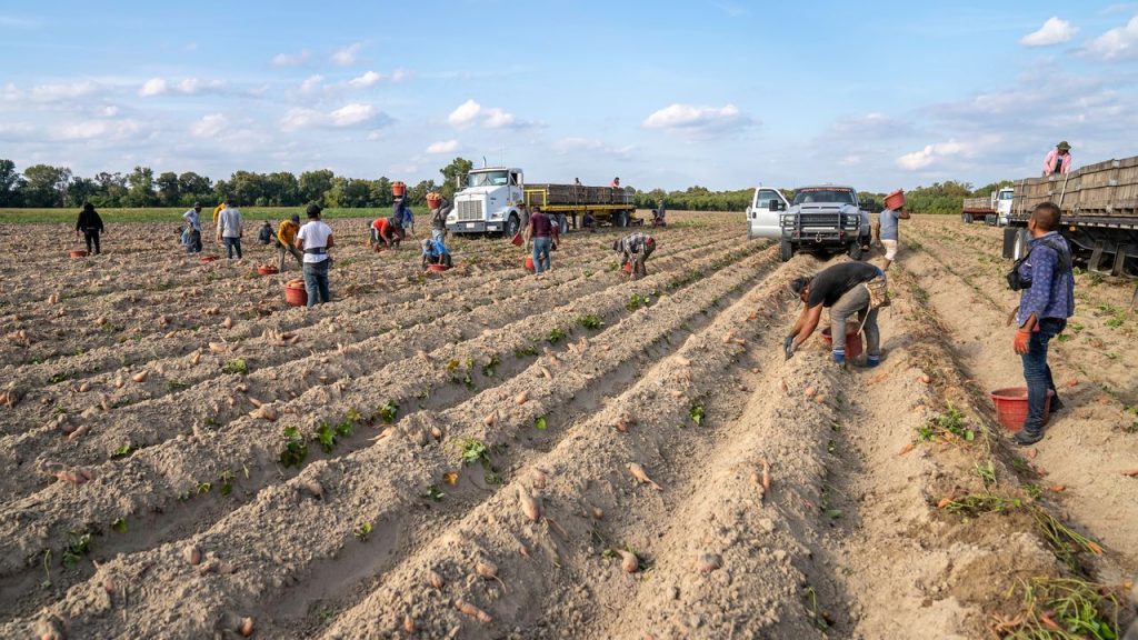 SUL4R-PLUS Illinois Will Increase Sulfur Fertilizer Production