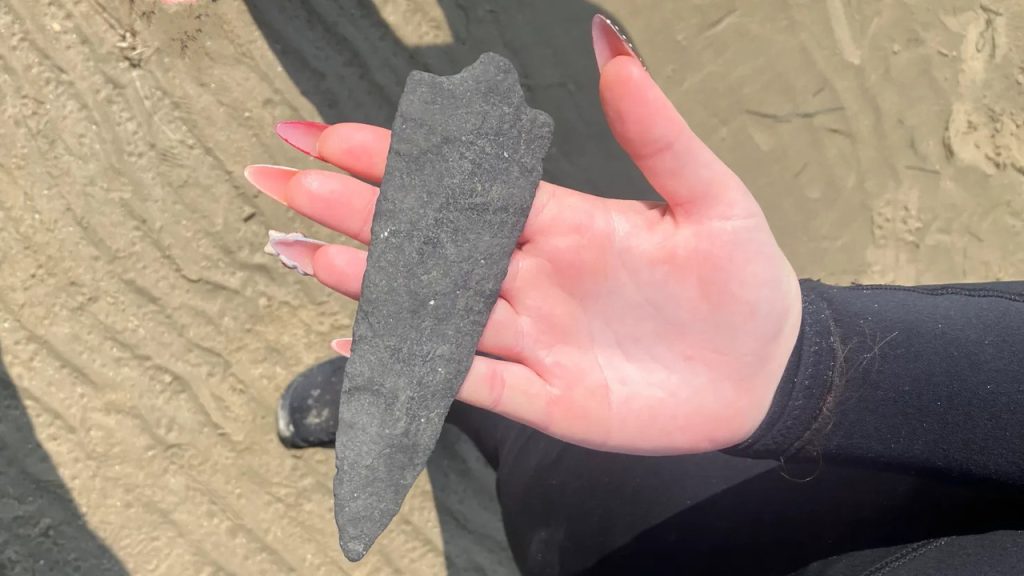 A Routine Shark Tooth Hunt Turned Into an Extraordinary Archaeological Discovery
