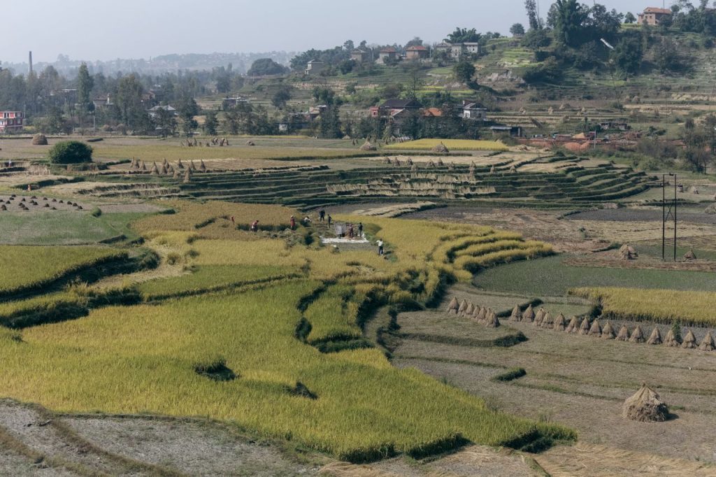 Better Data Systems Could Help Farmers Make More Informed Decisions