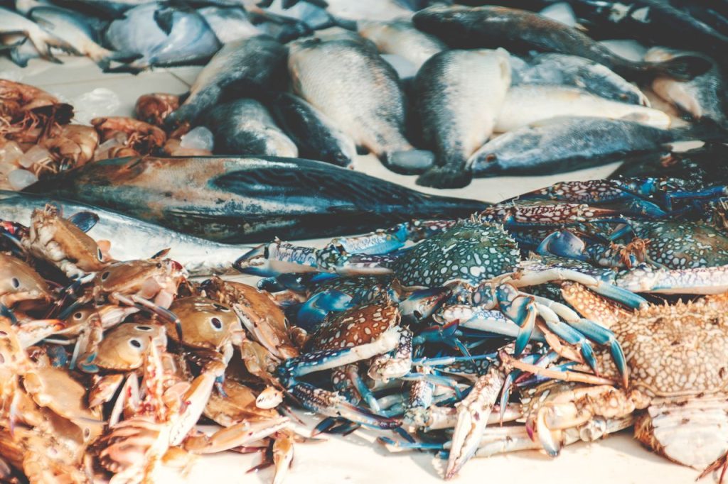 U.S. Commercial Fishermen Caught $5.1 Billion Worth of Seafood in 2023