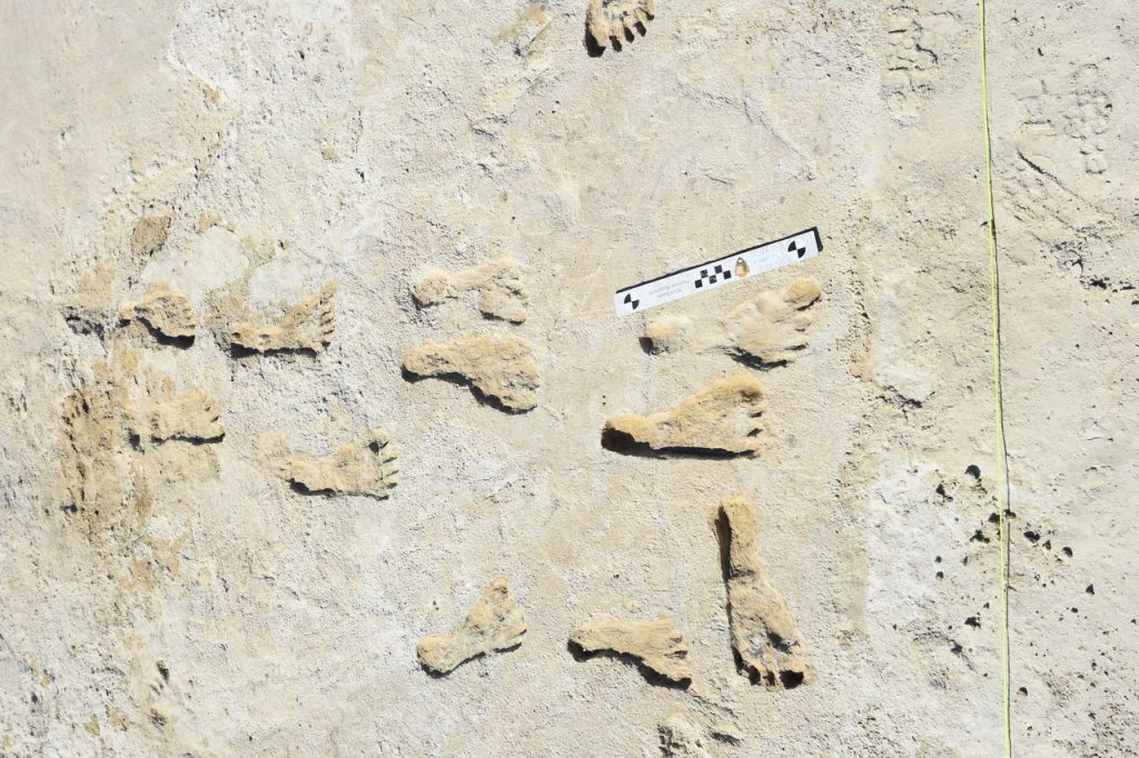 Scientists Are Still Uncovering What the Tracks Reveal