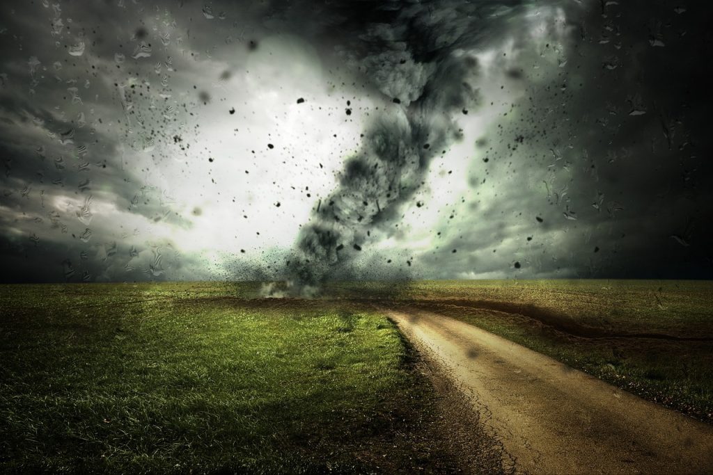 Shifting Winds