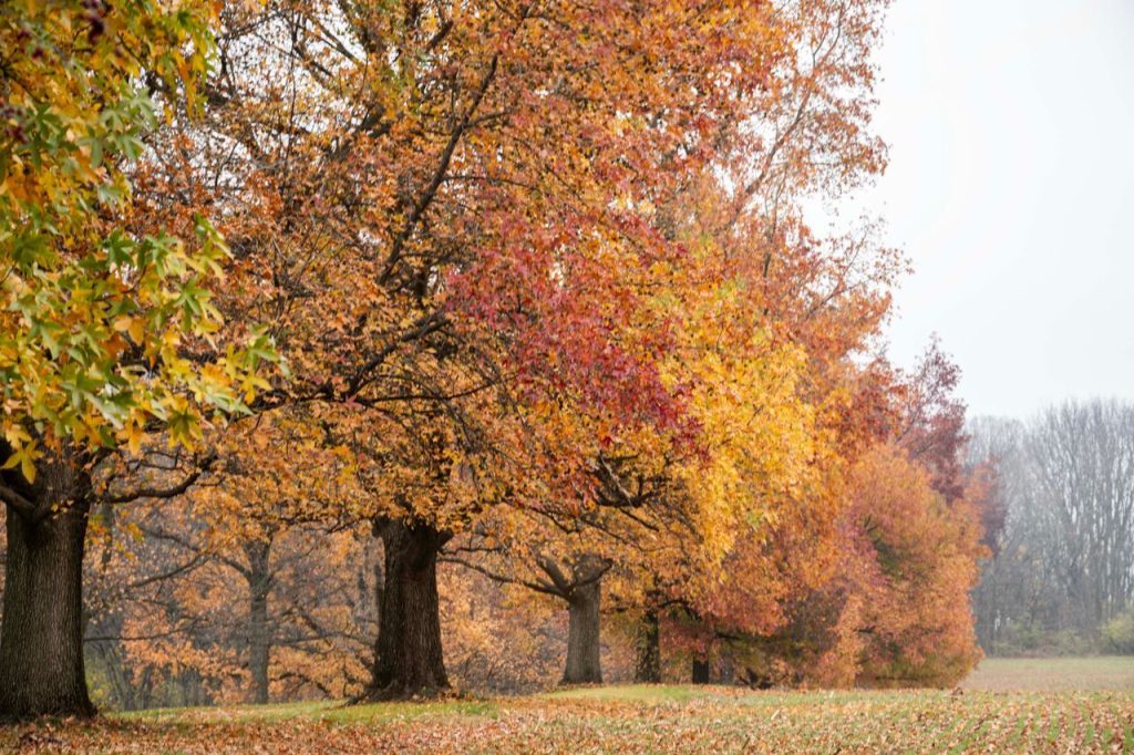 Camden State Park Brings Southwest Minnesota Into the Picture