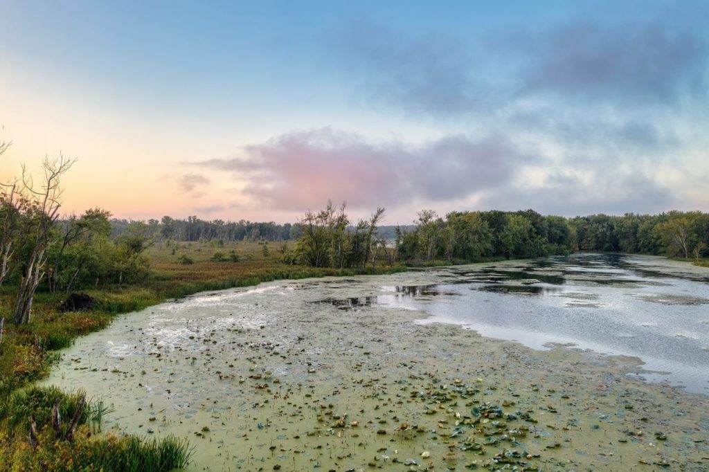 Minnesota’s Watershed Divides Shape Water Management Across the State