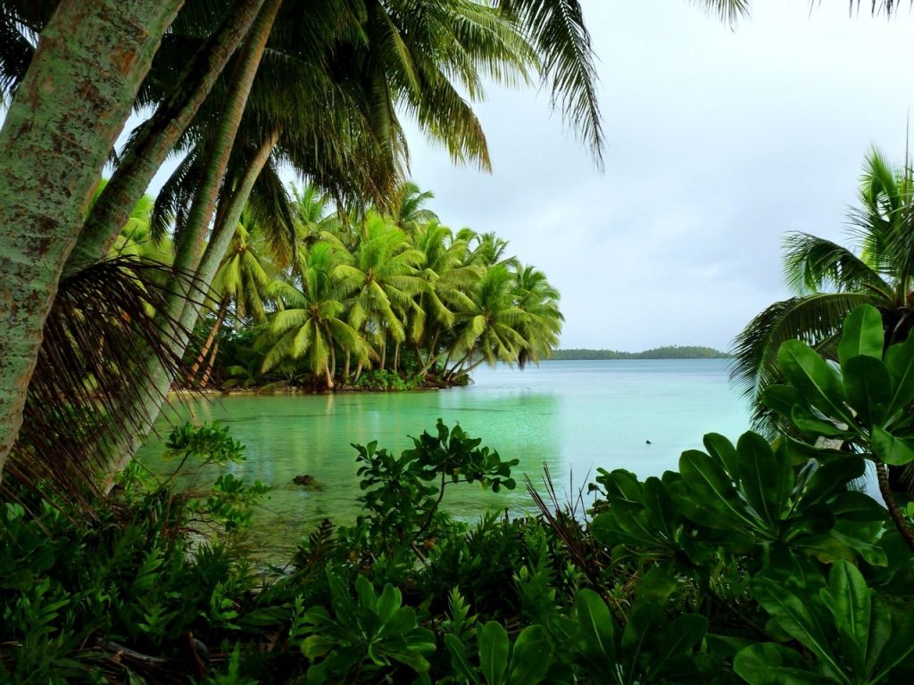 Palmyra Atoll