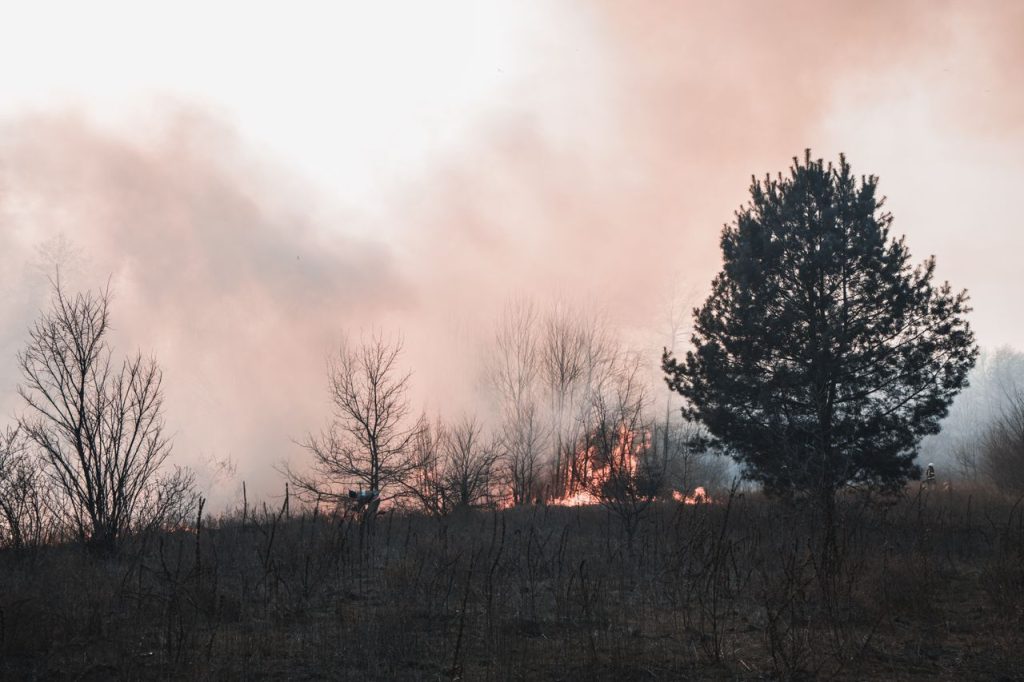 Grand Marais Recorded $4.6 Million in Estimated Economic Losses