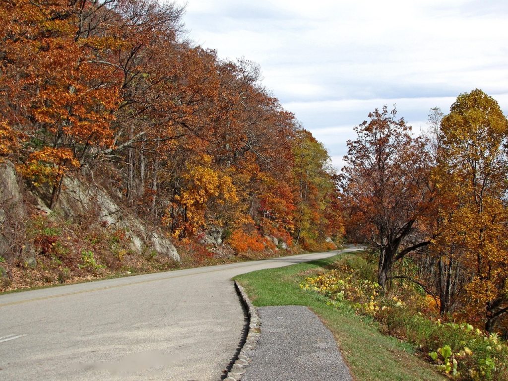 The Timing Matters Before Fall Arrives