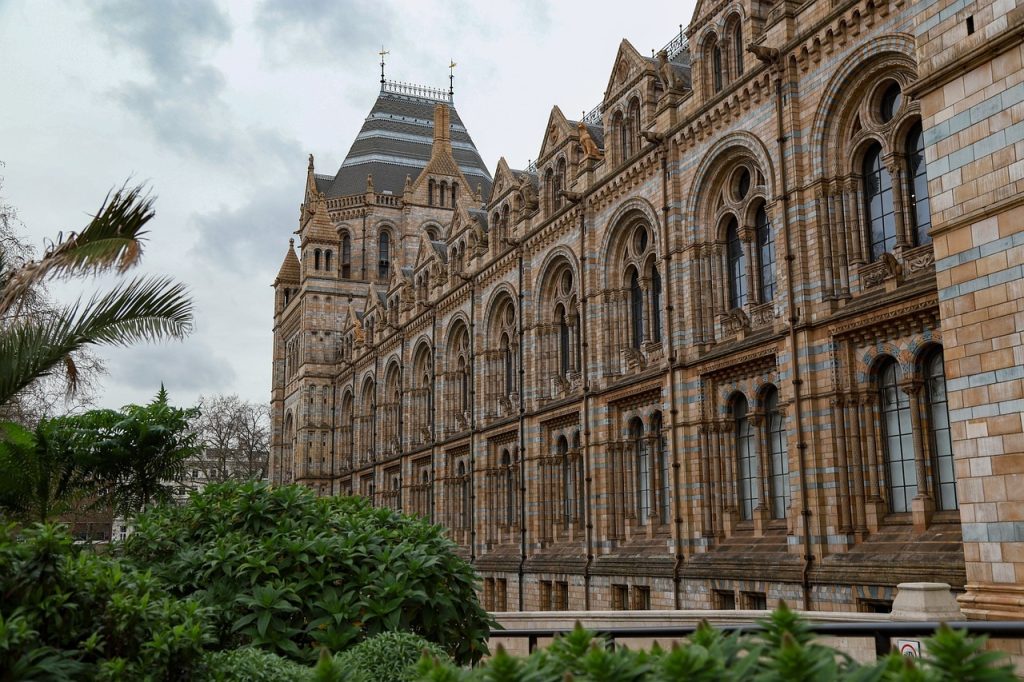 A $3 Million Gift Will Help Build the Museum