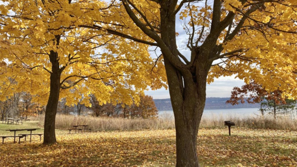 Great River Bluffs State Park Offers a Late-Season View of Autumn