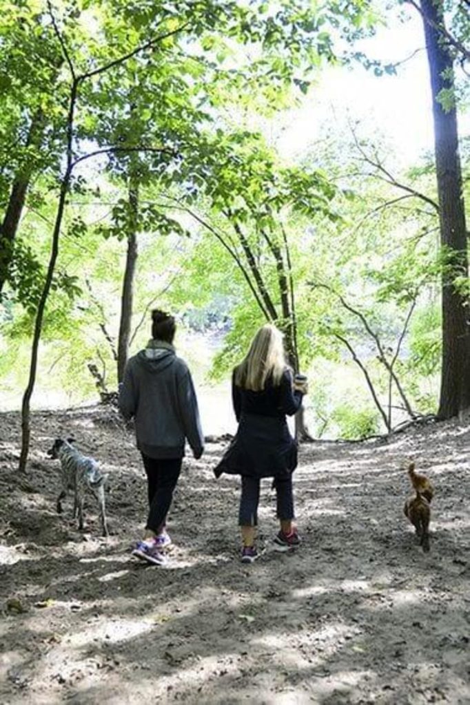 A New Off-Leash Dog Park Is Planned for Solomon Park