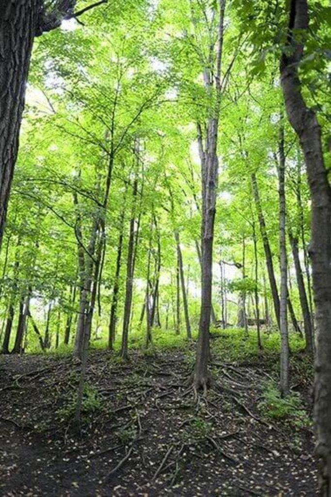 The Decision Reflects the Site’s Cultural and Spiritual Significance to Dakota People