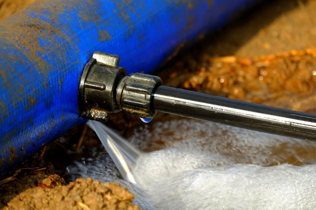 A February 2025 Water Main Break Destroyed More Than 100,000 Books