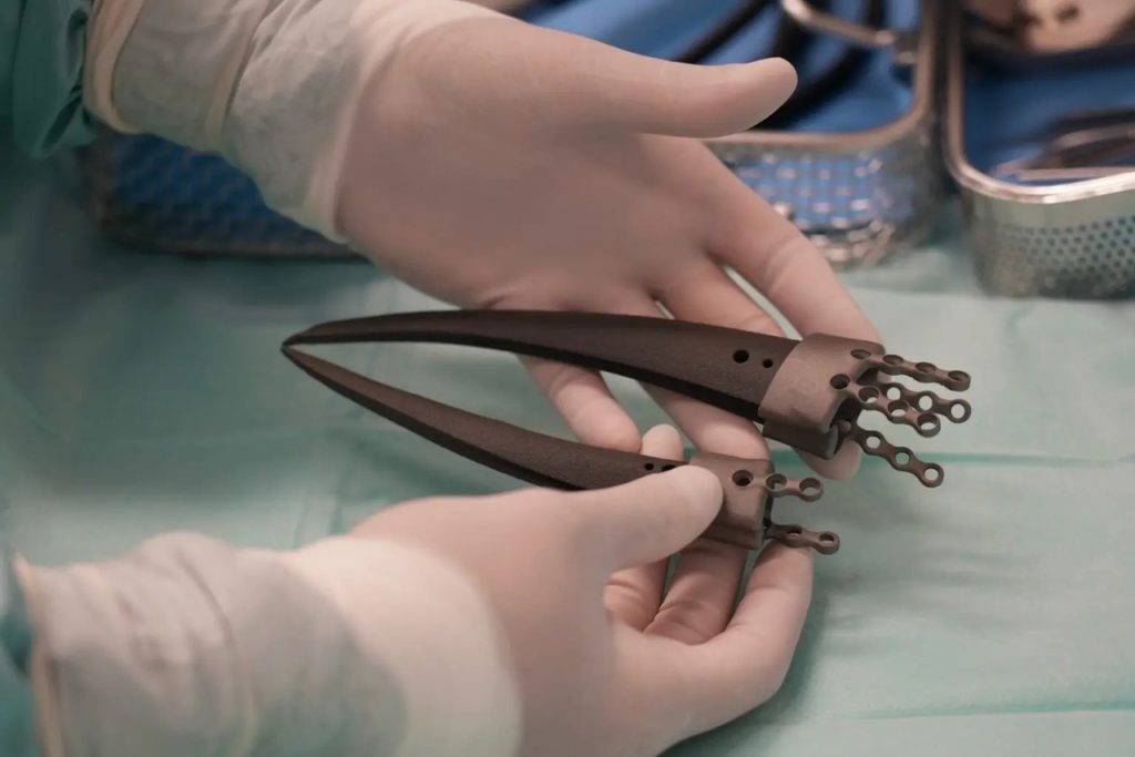 CT Scans and Original Beak Fragments Helped Create a Custom Fit