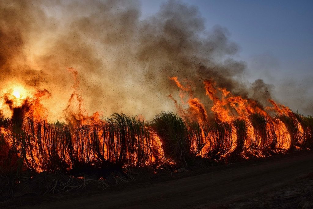 Wildfire Detection Tools
