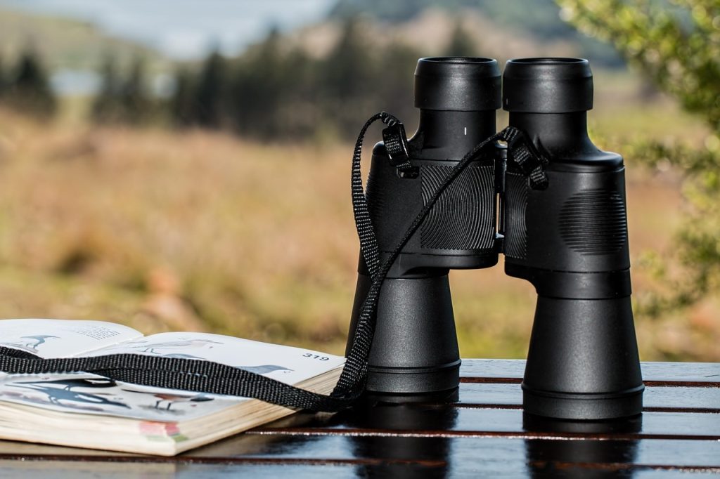 Bird-Watching Equipment