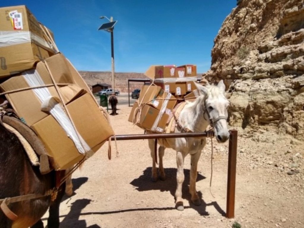 The Mule Train Route Serving Supai, Arizona