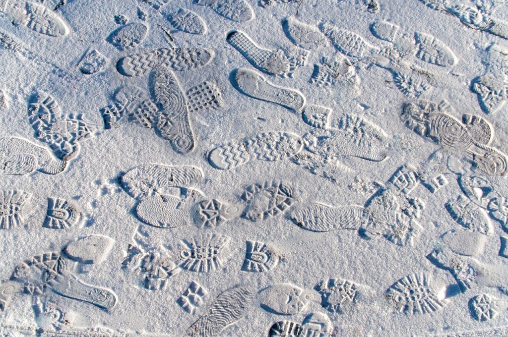October Brings New Ways to Explore the Trackways