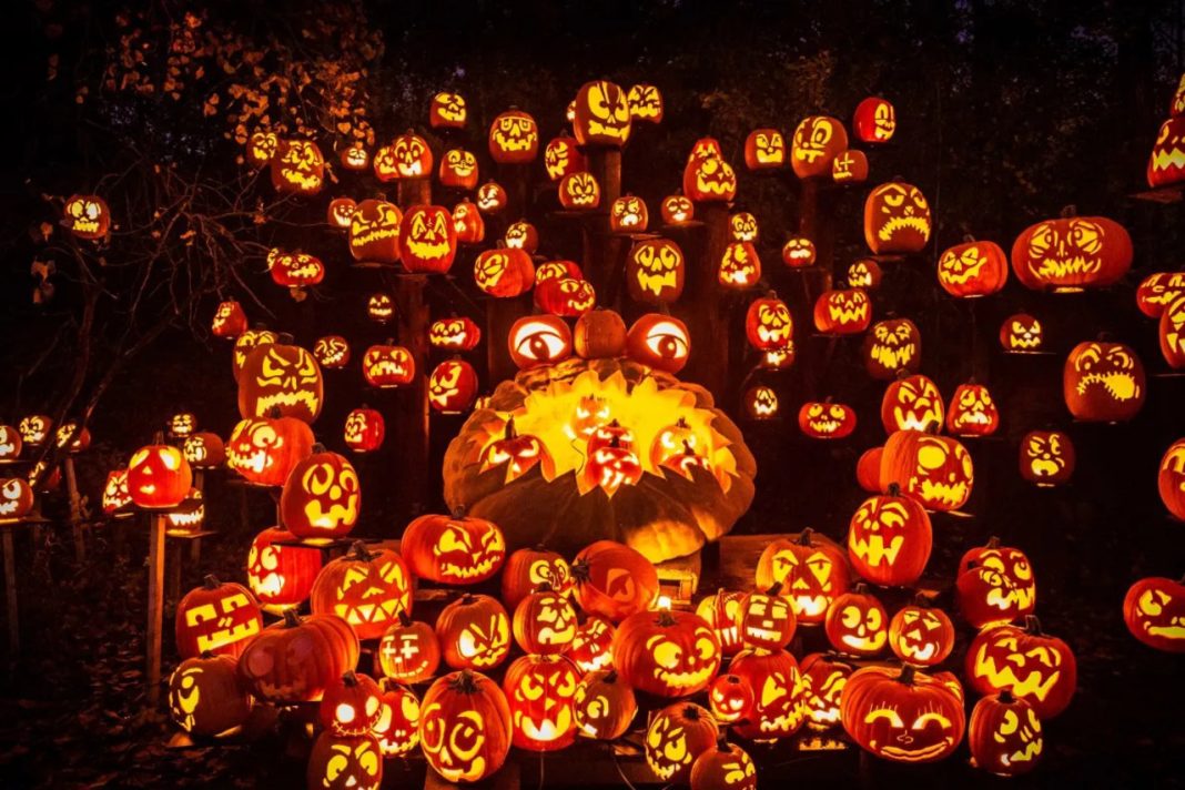 7 Things to Know About the Minnesota Zoo’s 5,000 Pumpkin Spectacular ...