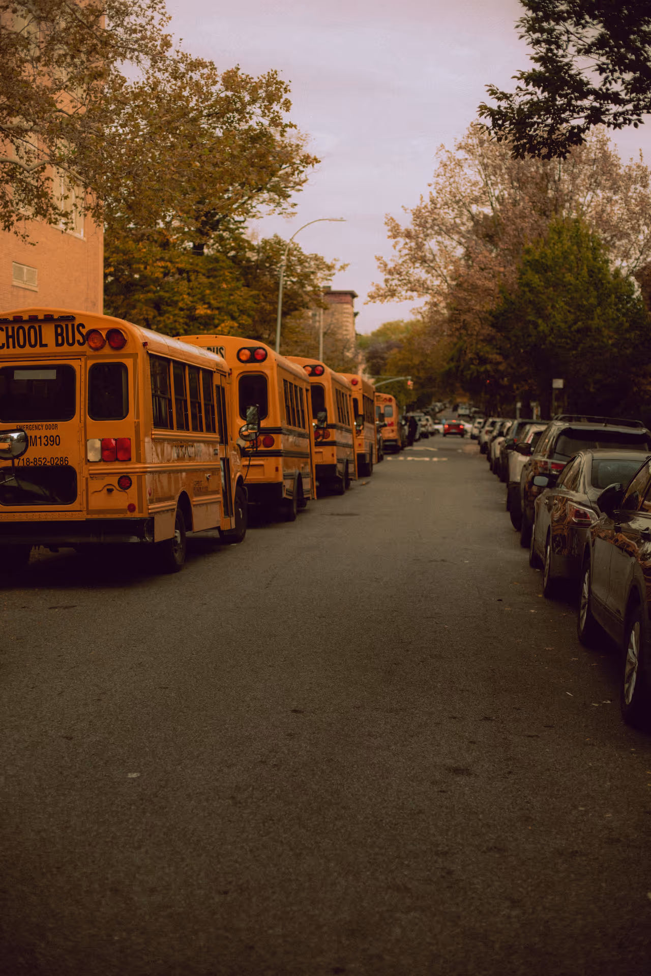 Back-to-school routines are reshaping daily life