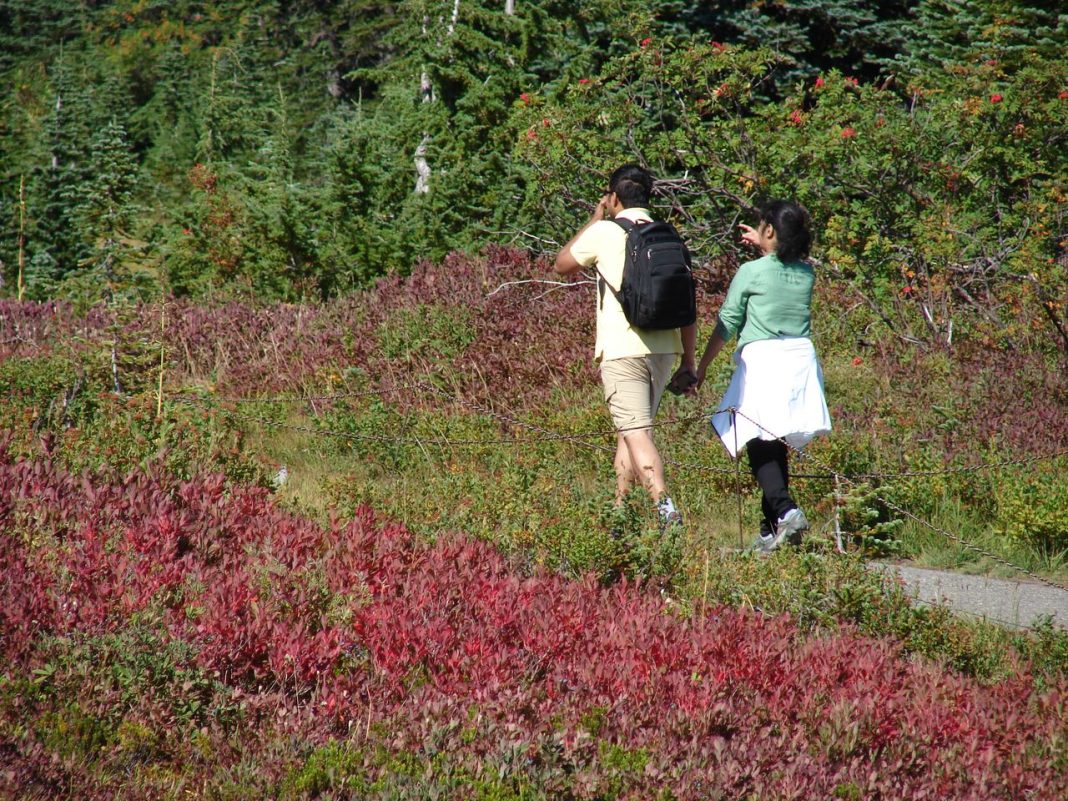 8 Free Things Americans Can Do at National Parks This Fall 8 Free Things Americans Can Do at National Parks This Fall