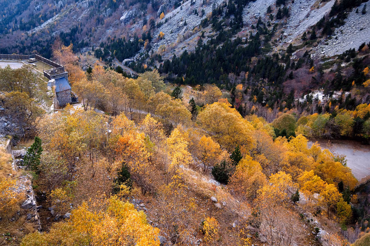 Watch the Fall Colors Change