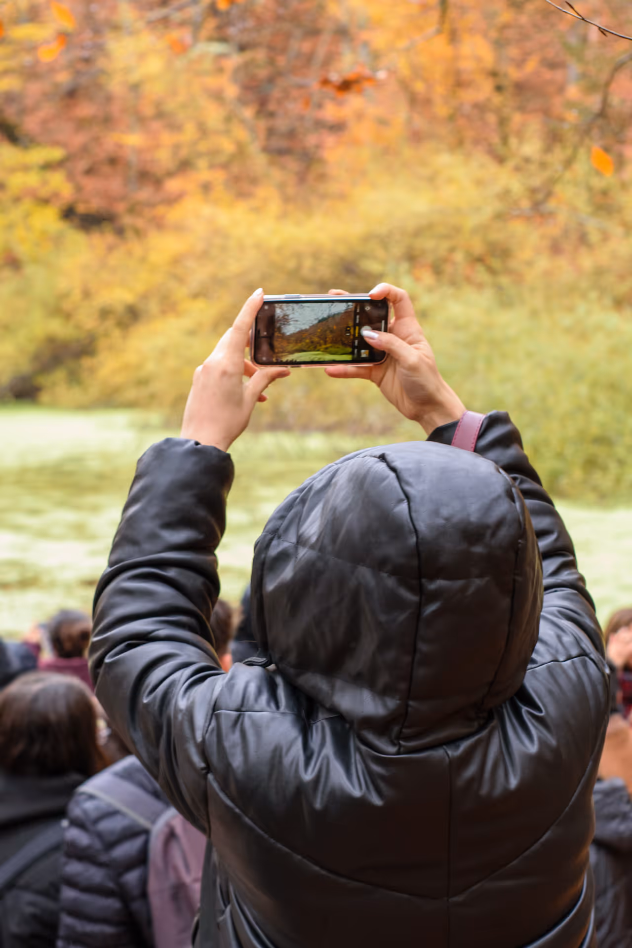 Take Photos of the Landscape