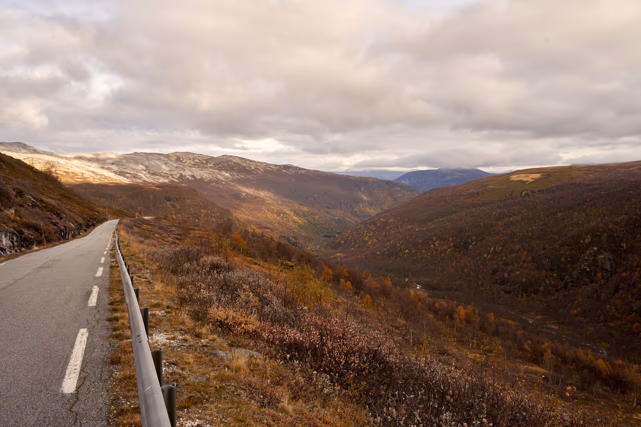 Drive the Scenic Roads