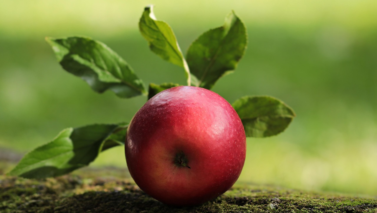Harvest Festivals and Apple-Picking Trips