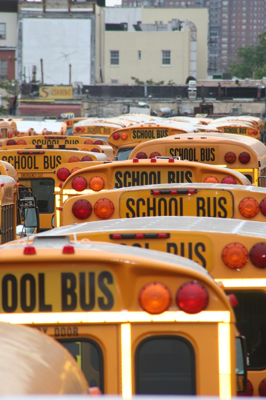 Back-to-School Traditions in Local Communities