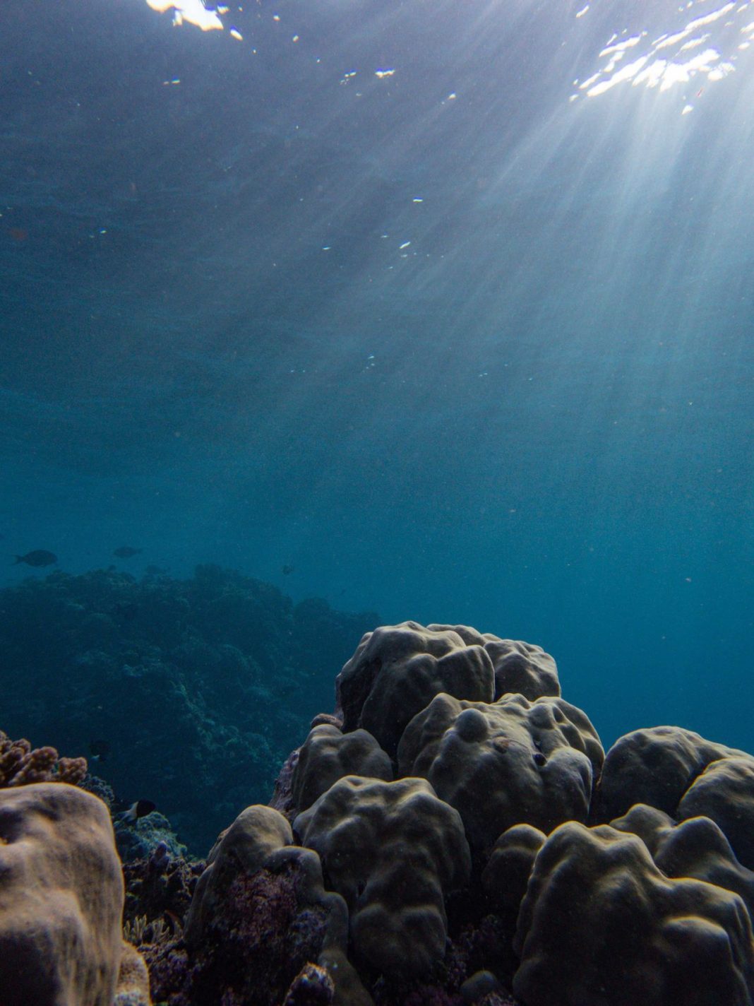 A 66 Pound Stone Found Underwater May Be the World’s Oldest Anchor. 6 Clues Behind the Theory A 66 Pound Stone Found Underwater May Be the World’s Oldest Anchor